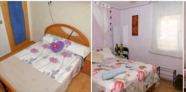 Habitacion Maria Jose Benidorm Oda fotoğraf